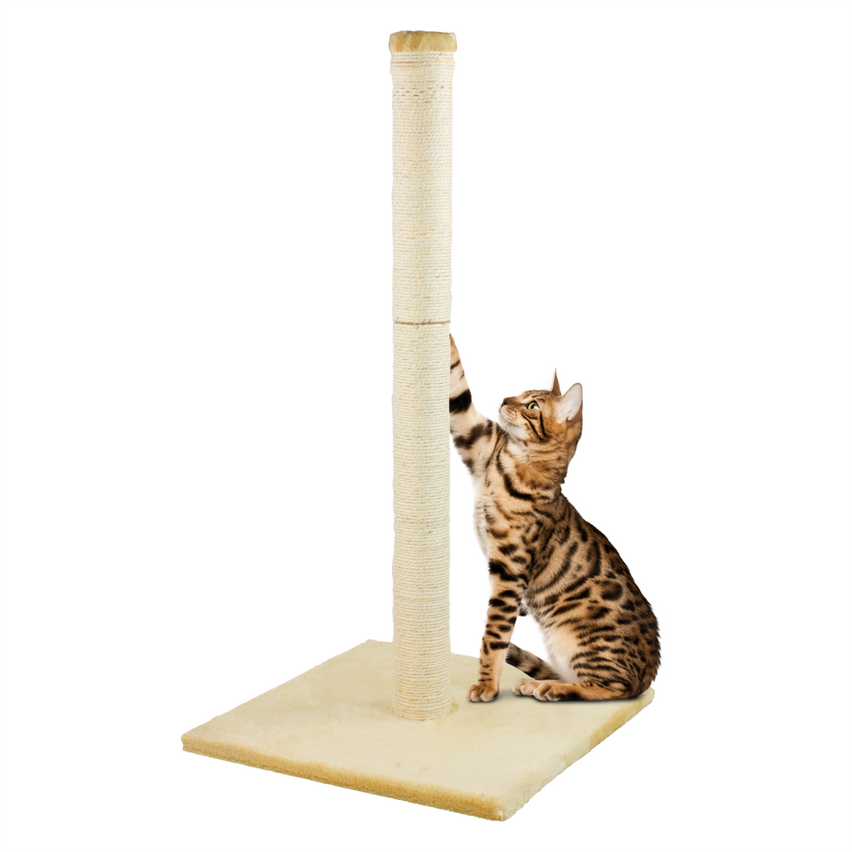KCT LARGE CAT SCRATCHING BEIGE POST for INDOOR KITTEN SISAL SCRATCHER POLE 78CM